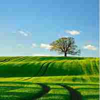 css做‌框​架﻿